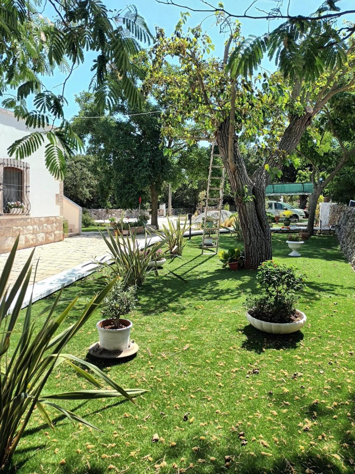 Trulli Allegretti Noci Exterior photo