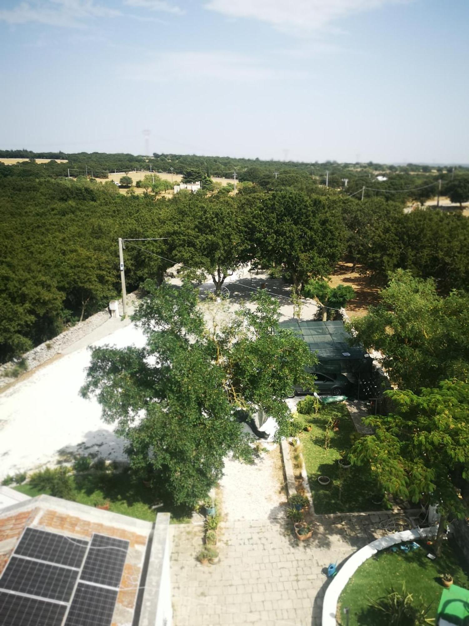 Trulli Allegretti Noci Exterior photo